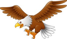 Eagle Image